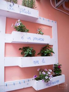Fotografie z fotogalerie ubytování Bianca's Rooms v destinaci Trani