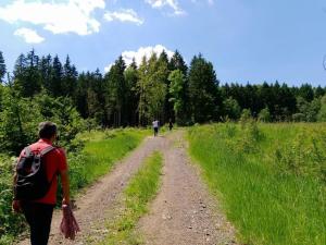 Hosté ubytování Villa Sunshine / Slunečna Vila