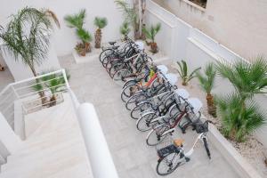Jazda na bicykli v okolí ubytovania B&B Villa Sara
