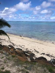 a beach with a palm tree and the ocean at Kaia Villas in Rarotonga