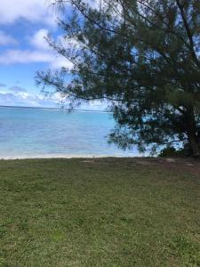 a tree on a beach with the ocean in the background at Kaia Villas in Rarotonga