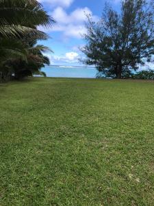 a field of grass with a tree and the ocean at Kaia Villas in Rarotonga
