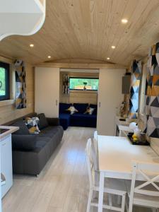 Posezení v ubytování La Casuta din Ciocanesti Art + 35 fotografií