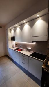 a kitchen with white cabinets and a red sink at Il giardino di Anna - Appartamento 1 in Fai della Paganella
