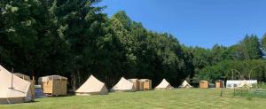 Forest Meadow Retreat