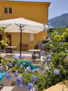 een patio met paarse bloemen en een parasol bij B&B Il Vialetto in Castellammare di Stabia