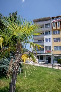 uma palmeira em frente a um edifício em Family Hotel Ambrozia em Sandanski