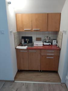 Kuchyň nebo kuchyňský kout v ubytování Nikolett apartman