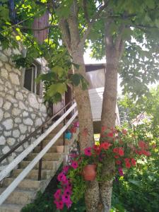 una casa con flores frente a una escalera en Apartment Dobre Vode en Žabljak