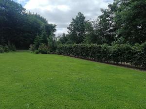 une grande cour avec une clôture et de l'herbe verte dans l'établissement Shelter Slotsgaarden, à Jels