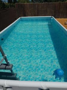 The swimming pool at or close to Lo Guaret.
