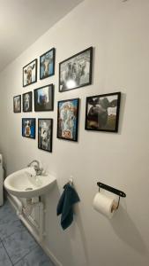 een badkamer met een wastafel en foto's aan de muur bij Duplex lumineux haut Jura in Ponthoux