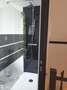 a bathroom with a shower with a plant on the wall at Le Loft de blossac in Poitiers