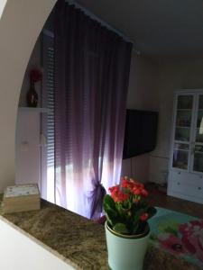 eine Vase mit Blumen auf einer Theke mit einem Fenster in der Unterkunft Melita studio apartment in Split