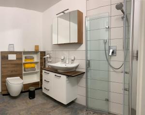 ein Bad mit einem WC, einem Waschbecken und einer Dusche in der Unterkunft Firmen & Ferienwohnung Brecht 2 in Waibstadt