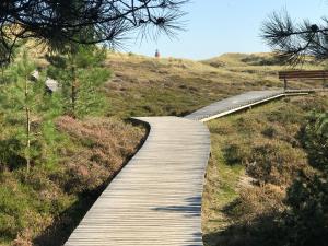 Paesaggio naturale nelle vicinanze dell'appartamento