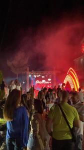 Une foule de gens devant un carnaval dans l'établissement Hotel Ambient - Struga, à Struga