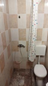 a bathroom with a toilet and a shower curtain at Casa din Gradina in Eforie Sud +54 photos