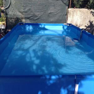 a pool of blue water in a blue tub at Villa Rosa in Castellammare del Golfo