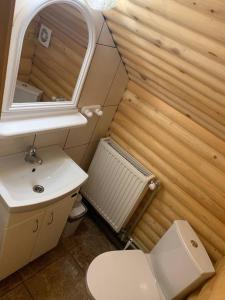 a small bathroom with a toilet and a sink at Садиба у Коржуків in Rivnya