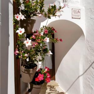 Gallery image of Trullo Delle Sorelle in Alberobello