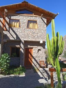 a stone house with a cactus in front of it at Casa Inka B&B in Ollantaytambo