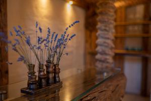 Fotografie z fotogalerie ubytování Landhaus K07 v destinaci Allerheiligen bei Wildon
