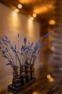Fotografie z fotogalerie ubytování Landhaus K07 v destinaci Allerheiligen bei Wildon
