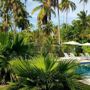Bazén v ubytování Pousada Villages Boutique Hotel - 150m da Praia da Laje nebo v jeho okolí