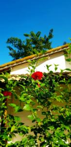 Zahrada ubytování Pousada Villages Boutique Hotel - 150m da Praia da Laje