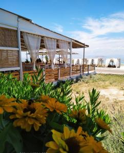 a building with yellow flowers in front of it at Larissa in Skala
