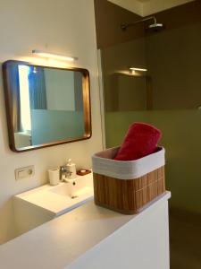 a bathroom with a sink and a red towel at B&B Waterside in Bruges