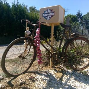 a bike parked next to a sign with balloons at Belonga Mick in Béthines