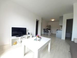 TV a/nebo společenská místnost v ubytování Apartment Andrej