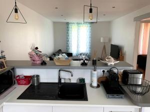 a kitchen with a sink and a counter top at Appartement Cosy à quelques minutes du Centre in Chalons en Champagne