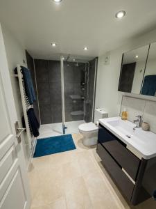 uma casa de banho com um lavatório, um WC e um chuveiro em La Grange - A Peaceful Place in the Forest em Concots