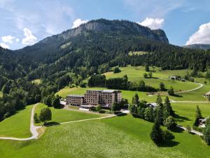 ein Hotel inmitten eines grünen Feldes mit einem Berg in der Unterkunft Ferienwohnung Chrisi im Kulmhof in Tauplitz