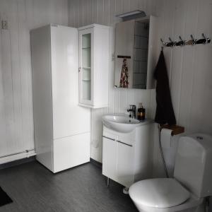 a white bathroom with a toilet and a sink at Willa Viktor in Kristinestad