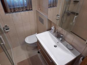bagno con lavandino, doccia e servizi igienici di Apartma Tanya Bled a Bled