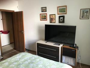 een slaapkamer met een flatscreen-tv op een dressoir bij Стойките in Stoykite