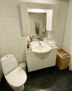 a white bathroom with a toilet and a sink at Two bedroom apartment near the city centre. in Tromsø