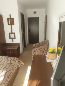 TV a/nebo společenská místnost v ubytování Hotel MEITNER