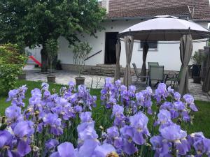 Afbeelding uit fotogalerij van Eden Apartman in Algyő