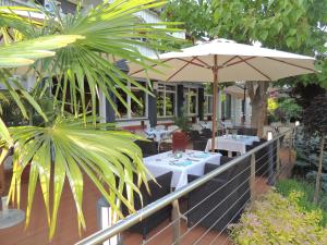 A garden outside Hotel Silvia