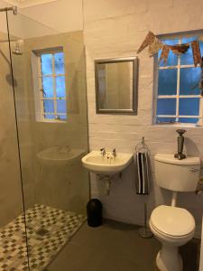 a bathroom with a toilet and a sink and a shower at Die Kothuis in Malelane