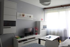 Gallery image of Apartament Sanok in Sanok