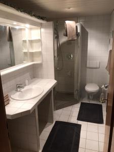 ein Bad mit einem Waschbecken, einer Dusche und einem WC in der Unterkunft Ferienwohnung am Spenderberg 
