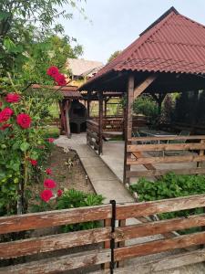um jardim com uma cerca de madeira e um pavilhão com rosas vermelhas em Casa Madalina em Săpînţa