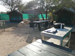 Foto dalla galleria di Yebo Safaris, Glamping Adventures a Skukuza Altre 16 foto