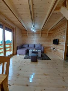 a living room with a couch and a table at Holiday Homes B&V in Žabljak